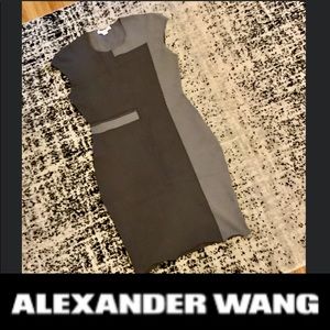Super Sexy Alexander Wang Dress, Sz Large